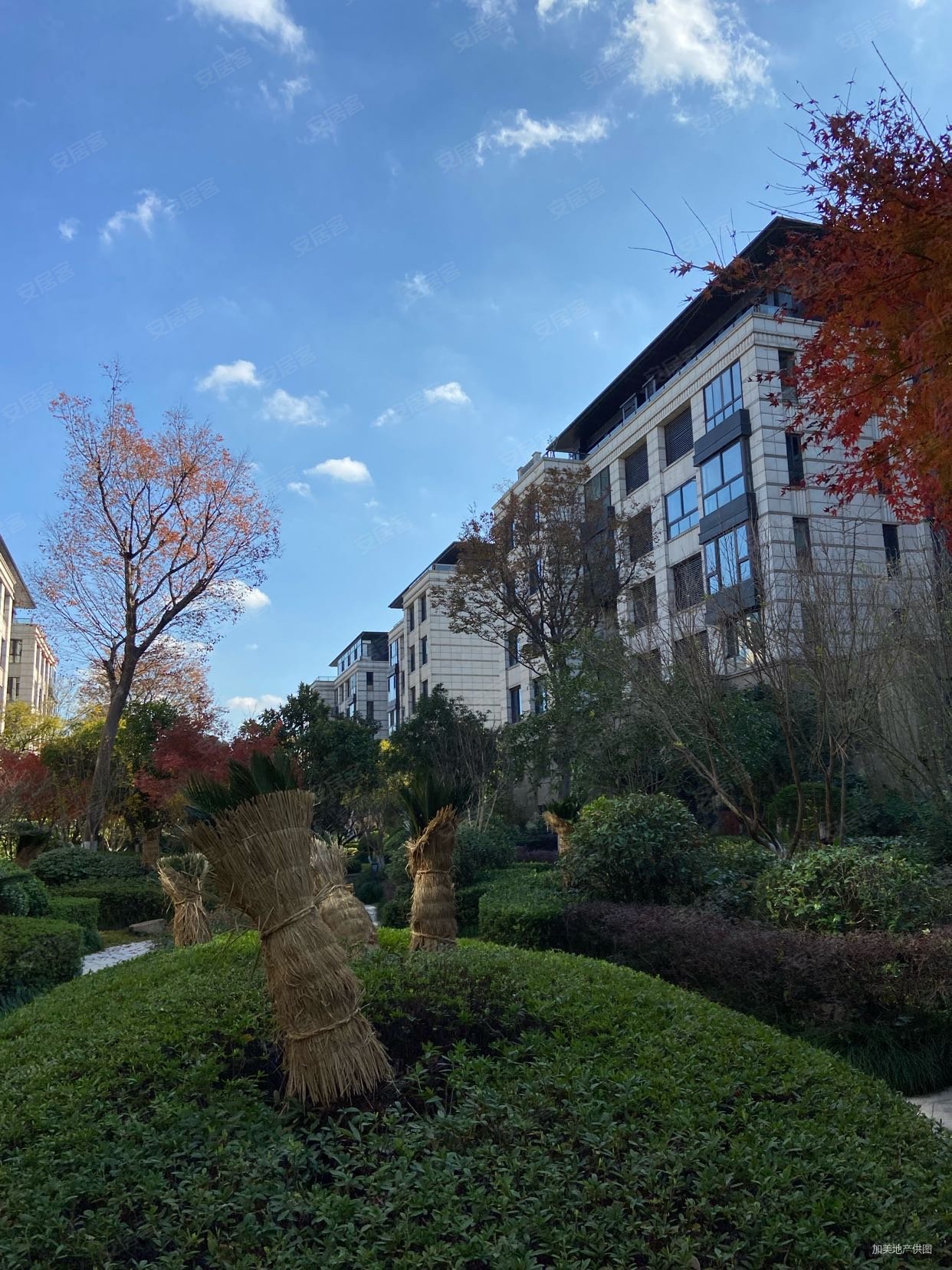 金地佘山天境(公寓住宅)4室2厅3卫161.66㎡南1200万