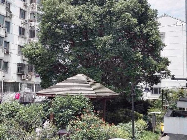 苏城医院环龙大厦盘溪小学香雪海团结桥人民桥南地铁口苏福大润发