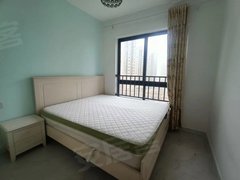 精装小套二 卧室1.8米大床 半年起租 拎包入住 三盛都会城