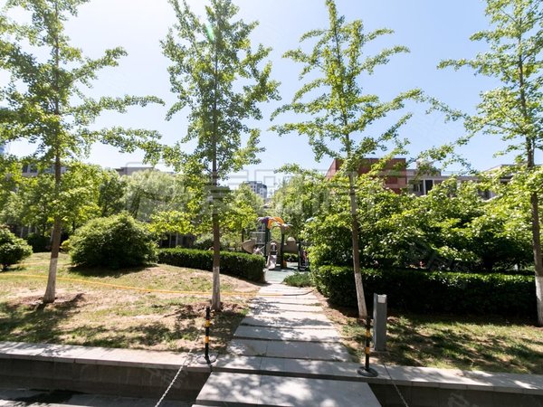 北京朝阳望京北纬40度(东区)业主诚心出租,价格能聊,正南 2室2厅 北纬40度(东区)出租房源真实图片