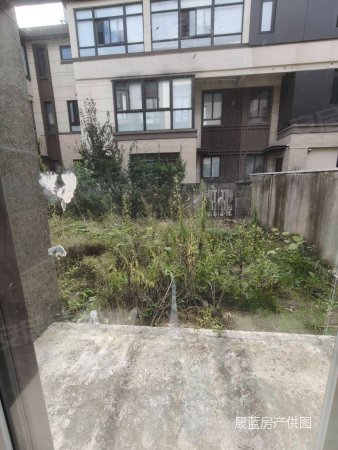 新区大开间 联排别墅  送的面积多  660万 鹿山雅苑