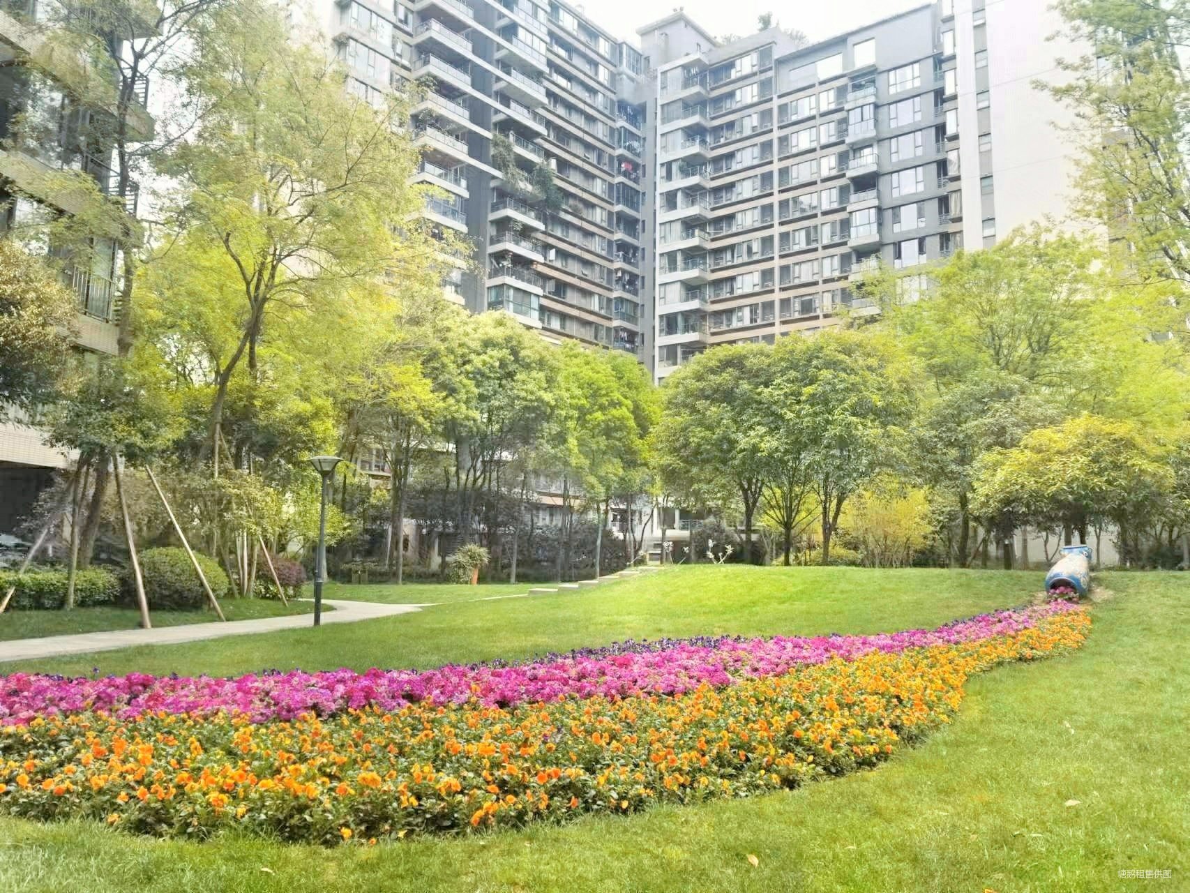 龙湖翠微清波精装套二诚心出售欢迎看房近公园草小