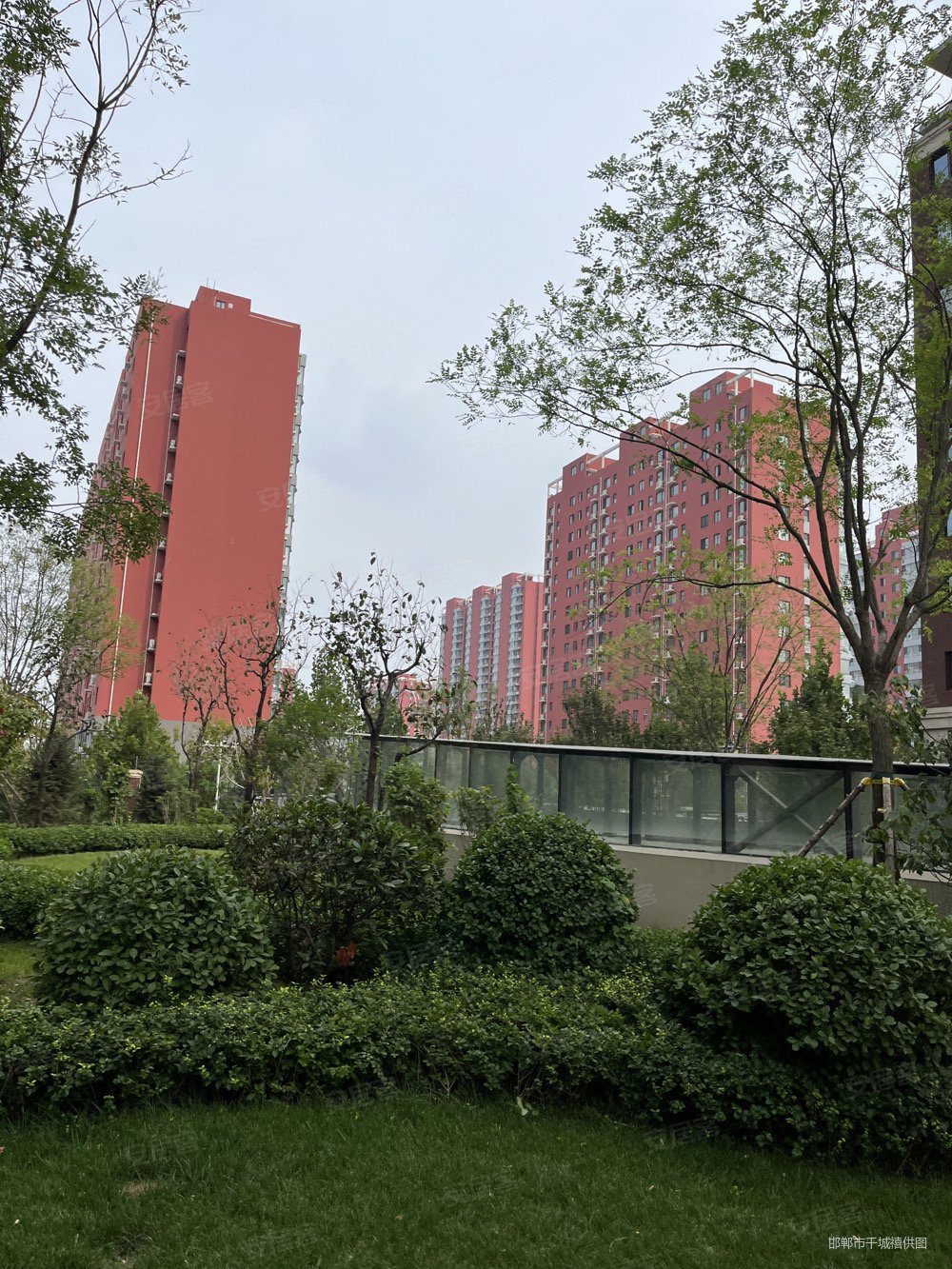 41平米-邯郸安居客