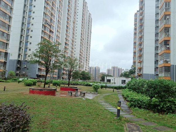 【多图】中房乐汇广场,白沙大道租房,中房碧翠园b区 1室1厅1卫 88平