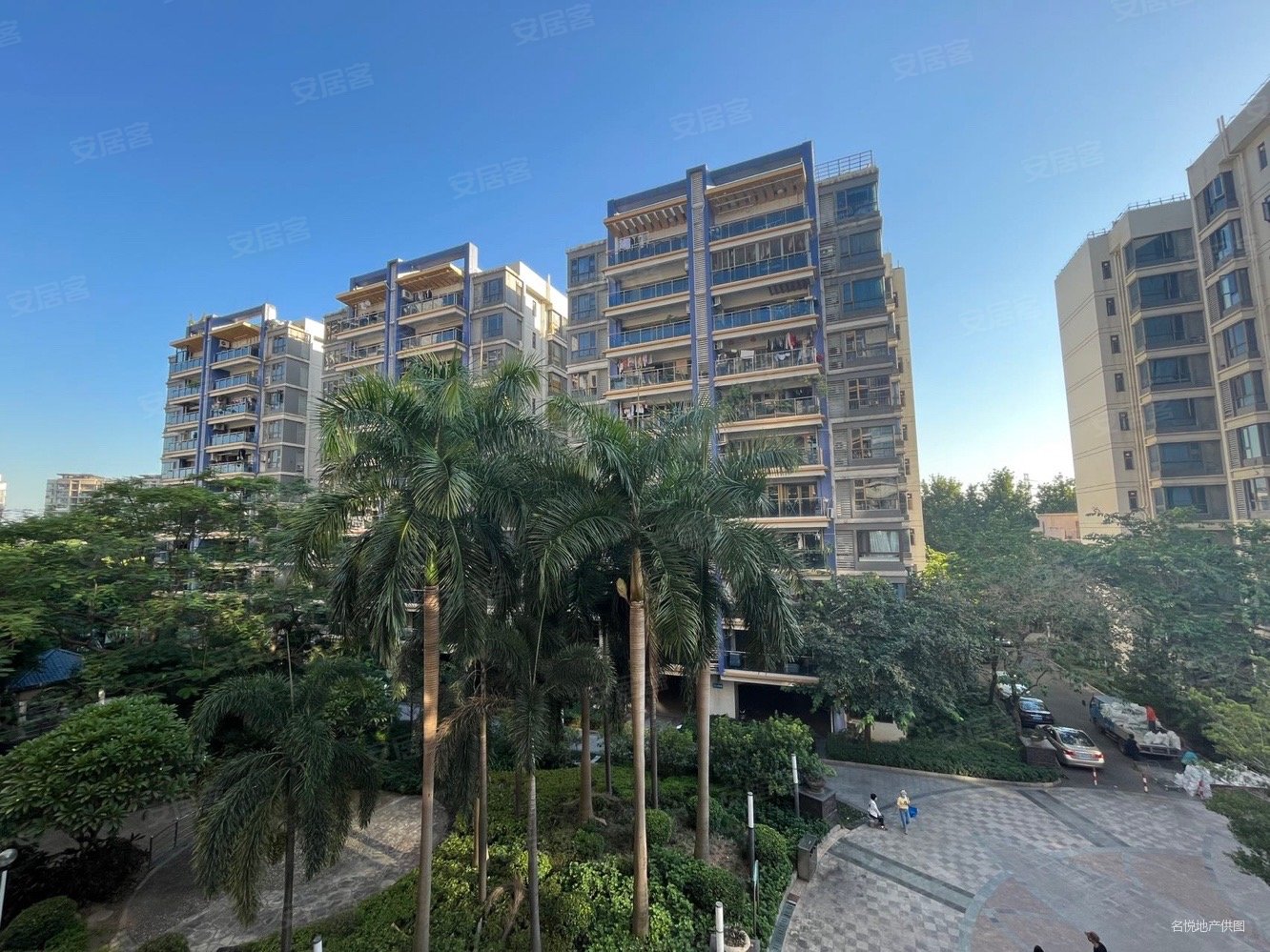 琶洲雅郡花园 三期 南北通透 诚意出售 看房方便,雅郡花园二手房,0万