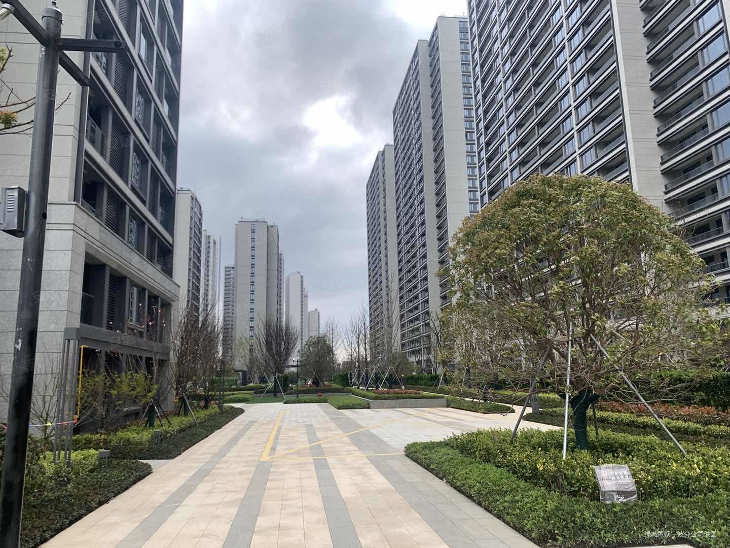 宁波轨道绿城杨柳郡咏柳苑3室2厅1卫93.07㎡南北325万