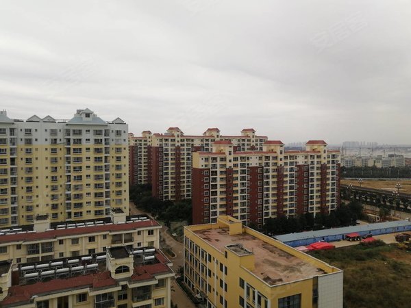 【多图】林塘小区,马金铺租房,闻泰科技旁 3室2卫整套出租 业主自住