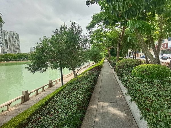 厦门思明莲坂联谊广场莲坂 联谊广场 槟榔路公交站 育秀东路地铁口 多