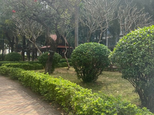 东莞塘厦大坪骏景高尔夫花园临深骏景高尔夫花园两房拎包入住!