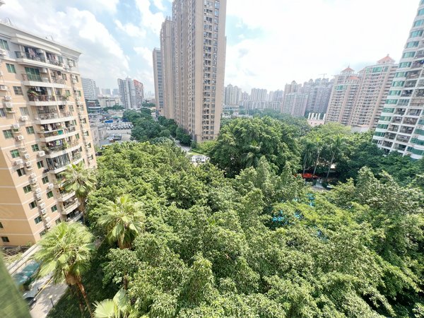 【多图】第二金碧花园,工业大道南租房,第二金碧花园 3室2厅1卫 电梯