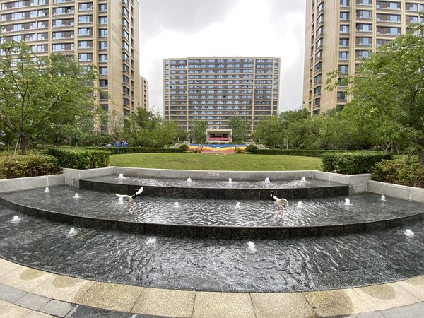 青岛李沧金水路绿城蘭园房源采光好,南北通透,业主诚意出租,看房方便