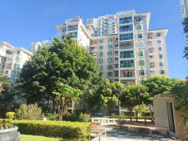 深圳南山南山中心区海文花园近滨海大厦 海文花园精装大三房两卫 业主