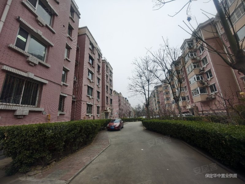 东方家园(莲池区)3室2厅1卫121㎡南北99.8万