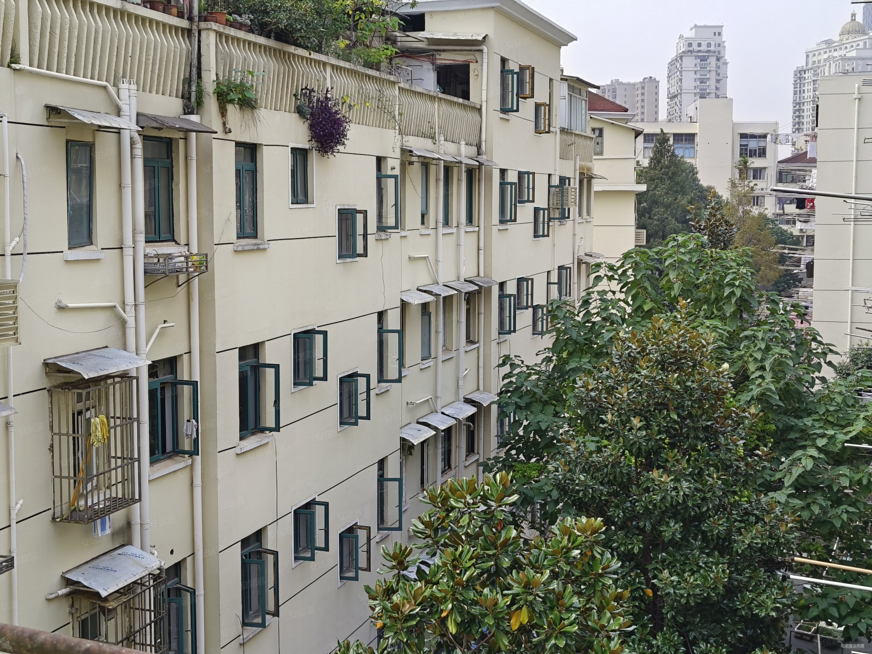 安化路307337号单小区