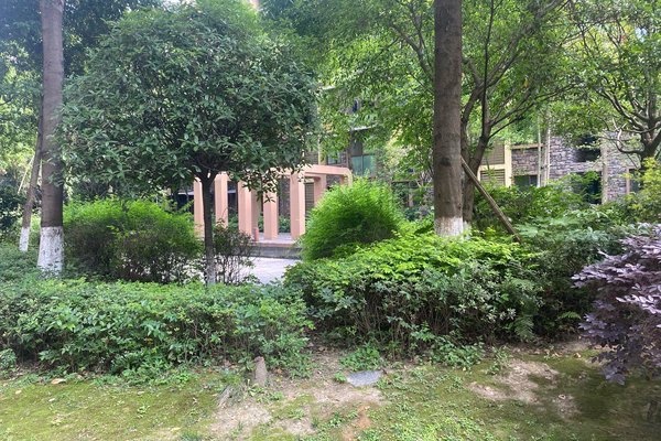 德阳小区 广汉市小区 行政广场小区 金领格兰维亚