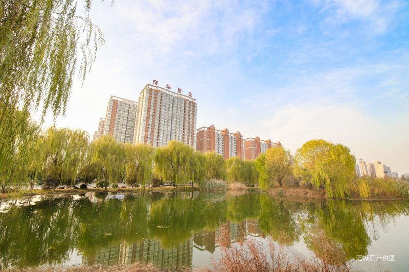 洛阳房产网>洛阳二手房>洛龙二手房>关林商贸城二手房>帝都国际城>