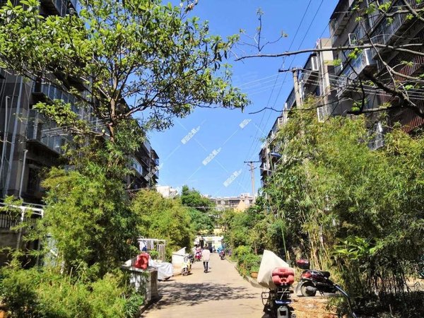 四十三医院昆五中大观楼沃尔玛超市海鲜市场多所小学幼儿园