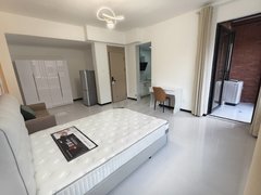 合肥高新蜀西湖软件园 高新银泰 祥源城别墅带露台 科大先研院地铁口科大讯飞出租房源真实图片