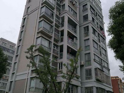 东晶国际公寓,浦东大道988弄 - 上海东晶国际公寓二手房,租房,房价