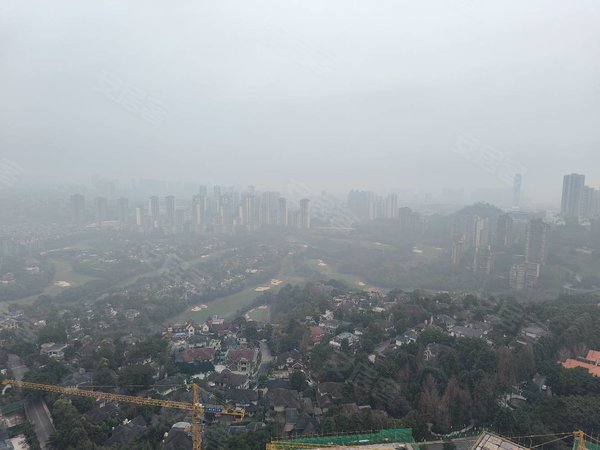 【多图】复地天玺,汽博中心租房,个人房子!