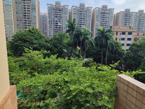 广州花都新区骏威锦东花园b区新区.地铁口.大花园.出租房源真实图片