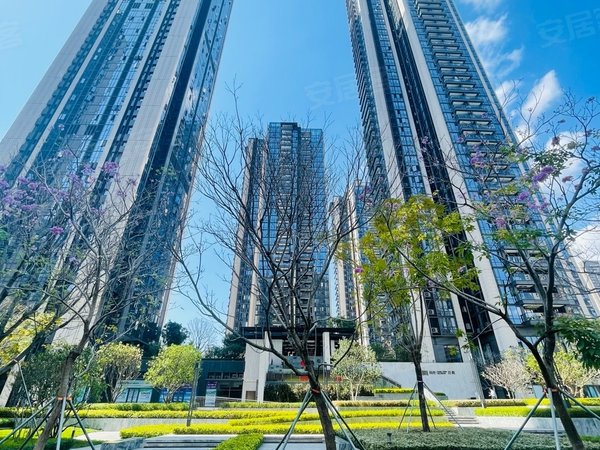 深圳南山大冲华润城润府二期(商住楼)我随时可看房 实拍图片及视频 楼