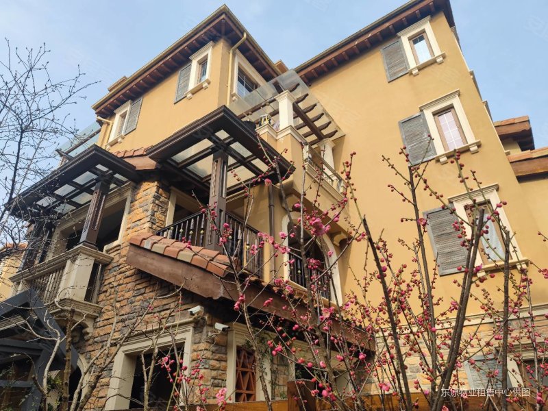 纳帕溪谷保养超好的婚房别墅 拎包入住随时看房 业主急置换,纳帕溪谷