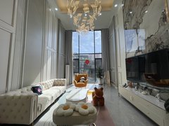 深圳龙岗平湖御峰园 联排别墅 豪华装修带电梯 前后花园带露台 租出租房源真实图片