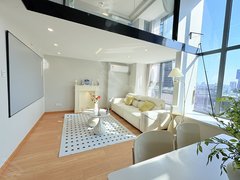 合肥政务荷叶地政务区 南二环唯品会 省立旁 政务壹号精装复式采光可月付出租房源真实图片