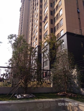 北城中环城 两房朝南 阜阳北路高架直达 采光无遮挡