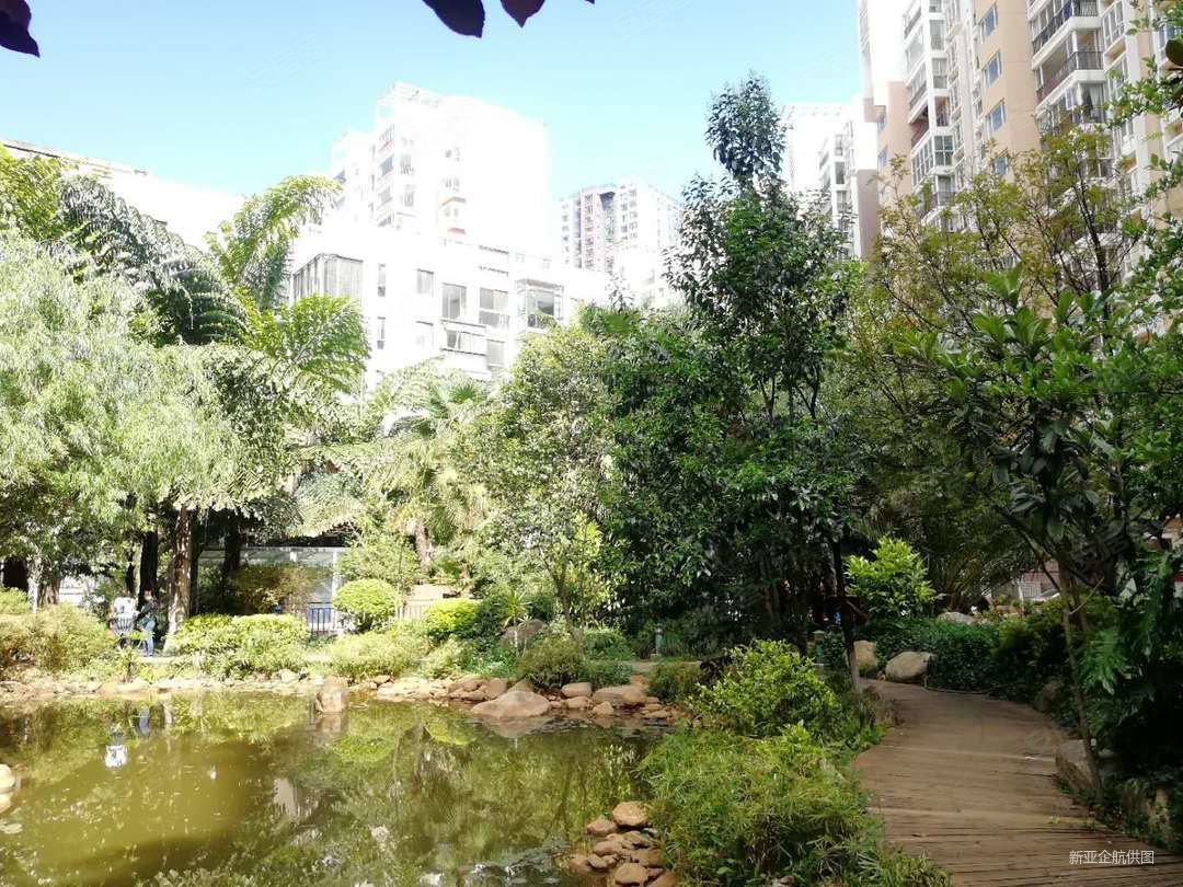 2室2厅理想红树湾精装修随时看房