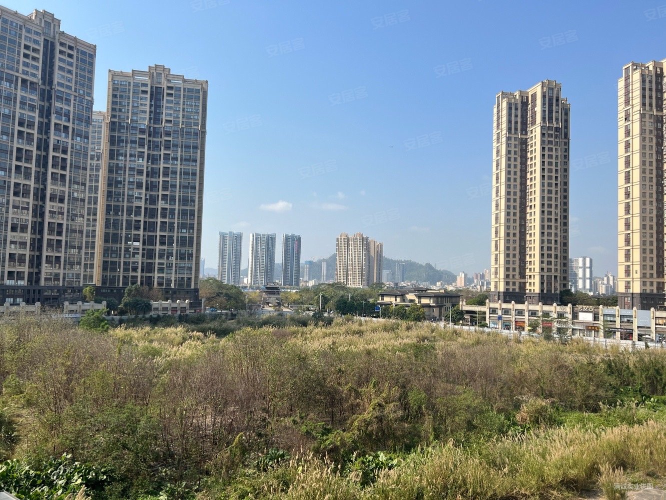 中洲中央公园