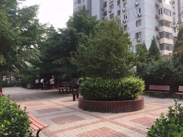 【多图】南湖东园一区,望京租房,地铁望京站 博泰大厦 叶青大厦 南湖
