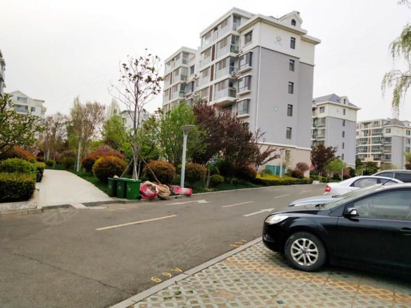 青岛城阳夏庄鑫江水青木华东方城商圈 水青木华 套二 1400月 多套出租