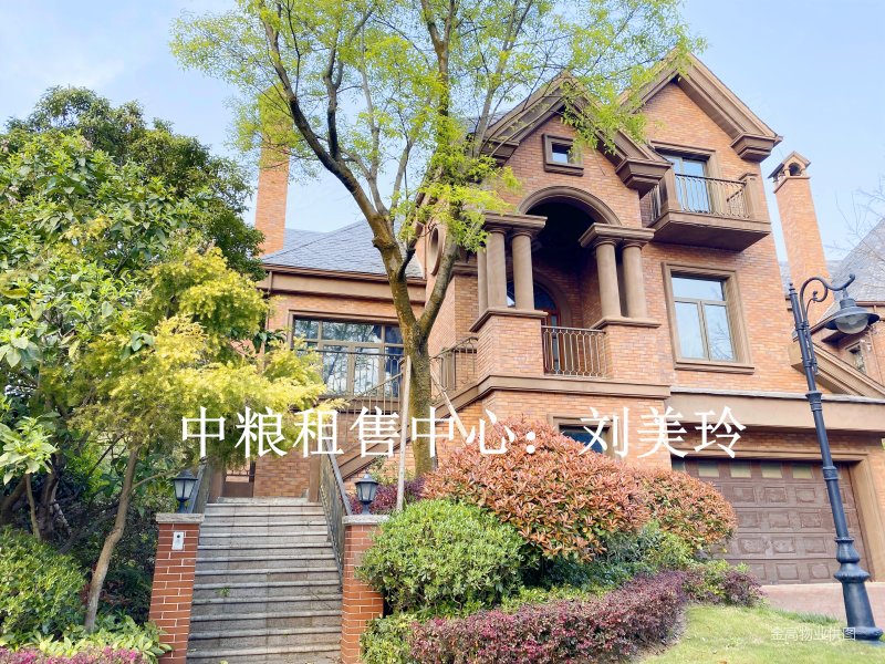 中粮御岭湾 三期莫奈岛 独栋别墅 挑高客厅 带私家花园