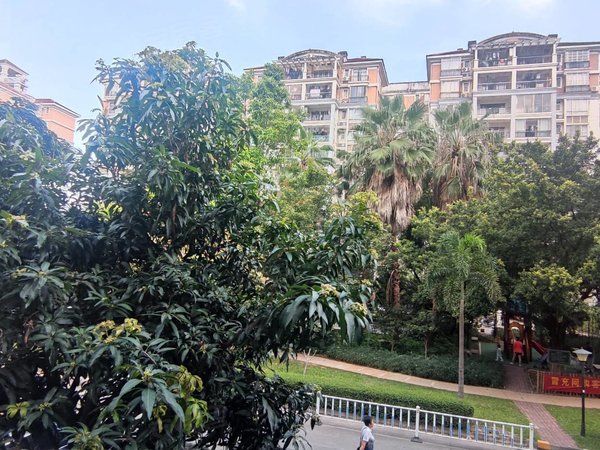 广州增城凤凰城碧桂园凤凰城凤馨苑面向大花园 低楼层 采光通风良好