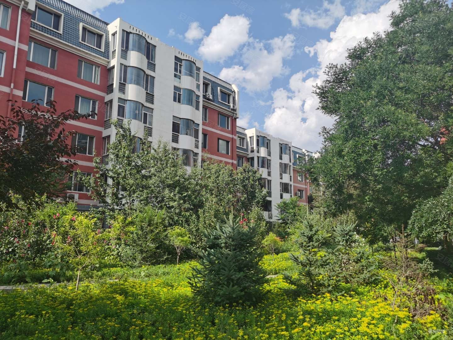 万达商圈如意小区迷你国标两居南北通透带小院