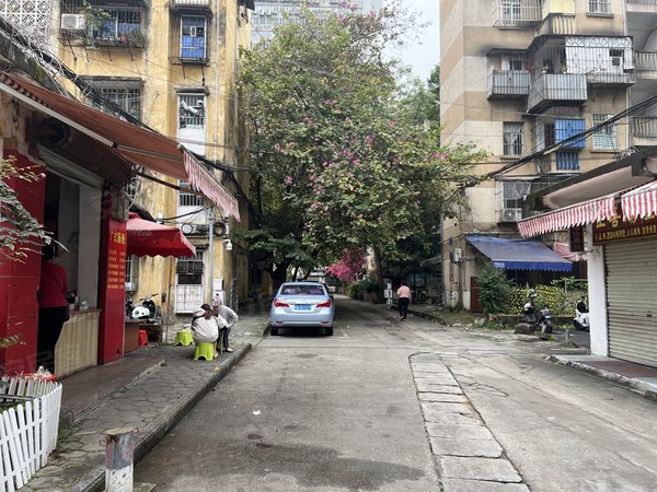 【多图】新竹小区,新竹租房,新竹小区精装三房 出租 居家配齐 拎包