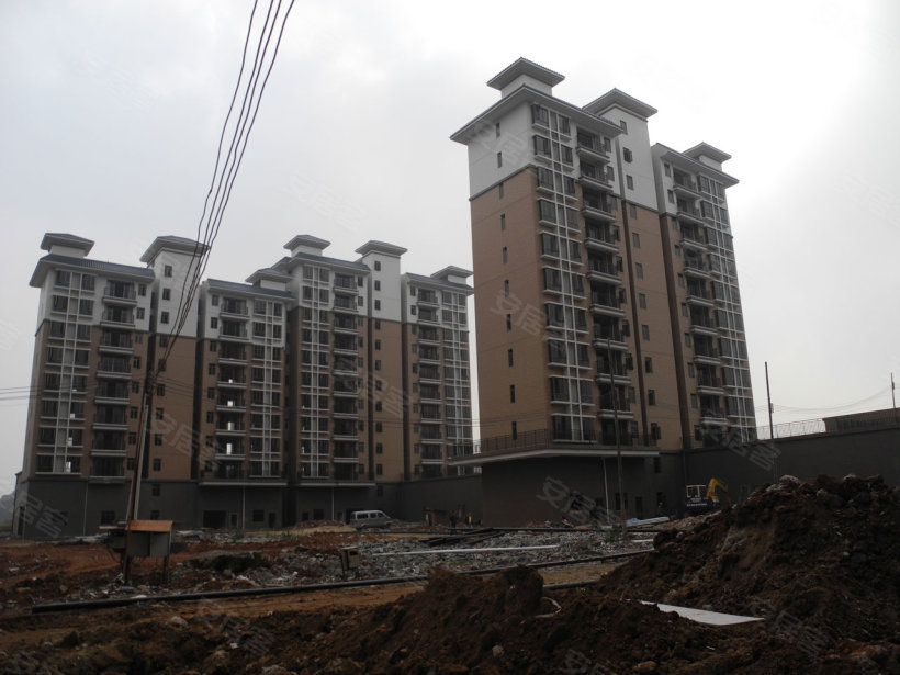 三水区 住房 标签 房地产住宅区小区 华盛·圆坊都荟共多少人