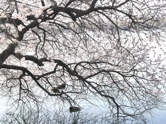 北京朝阳奥林匹克公园鼓楼外大街1号院 3室1厅1卫出租房源真实图片