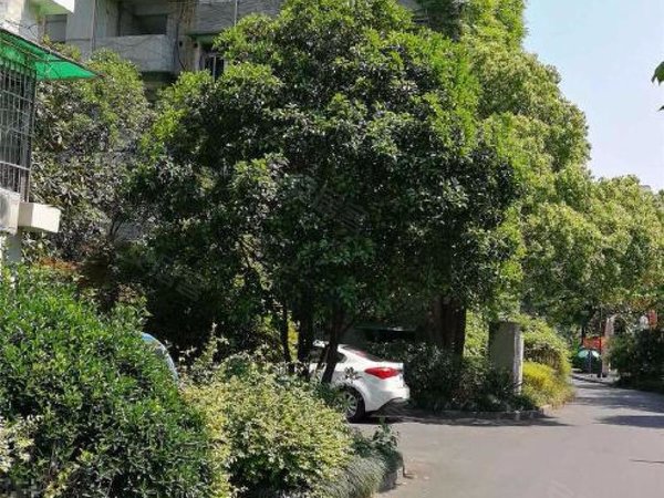 杭州拱墅和平和平苑社区打铁关新村打铁关新村 省人民医院市儿童医院