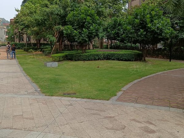 中山黄圃黄圃中心广场雅德花园雅德花园三房一卫出租,保养新净,可以