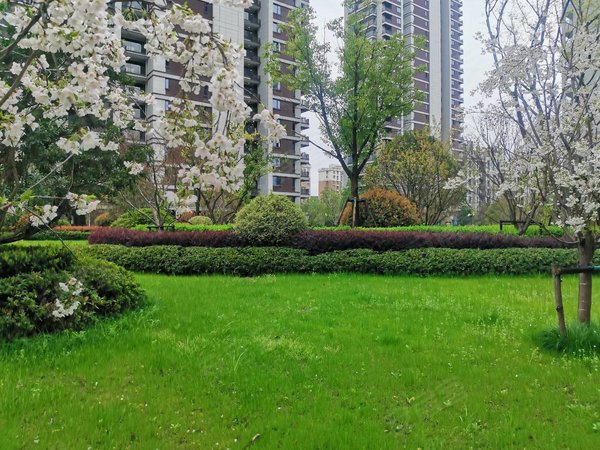 杭州临安青山湖宝龙旭辉城(公寓住宅)蔚宸悦城宝龙旭辉城 16号线地铁