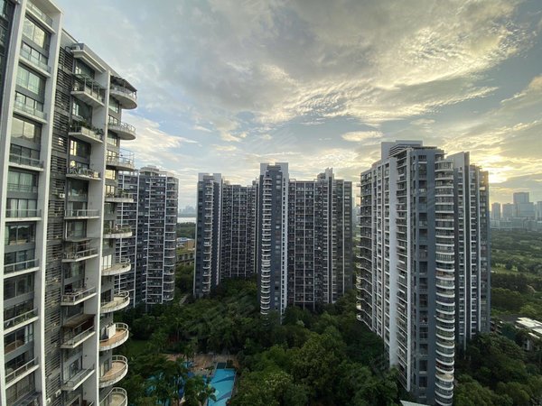 深圳南山华侨城中信红树湾(南区)中信红树湾经典三房,高楼层,送花园