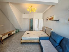 武汉蔡甸恒大绿洲中国健康谷健康新天地 1室1厅1卫  电梯房 精装修43平米出租房源真实图片