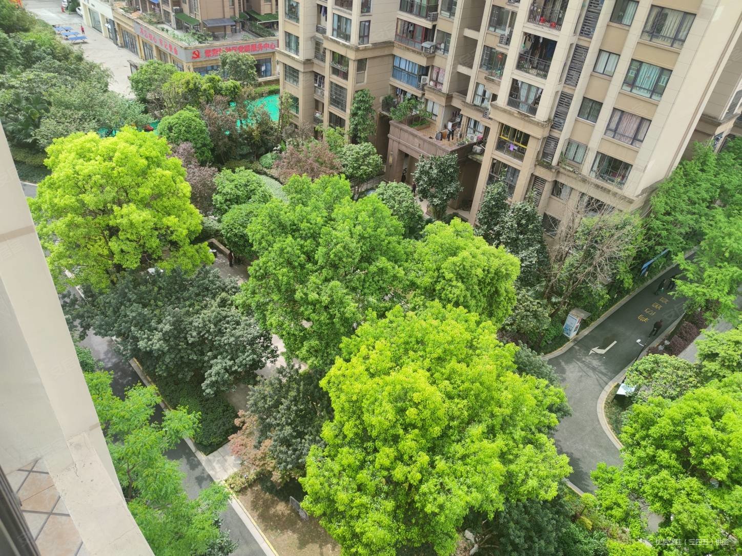 重庆房产网>重庆二手房>合川二手房>合川区城南二手房>金九南滨花园>