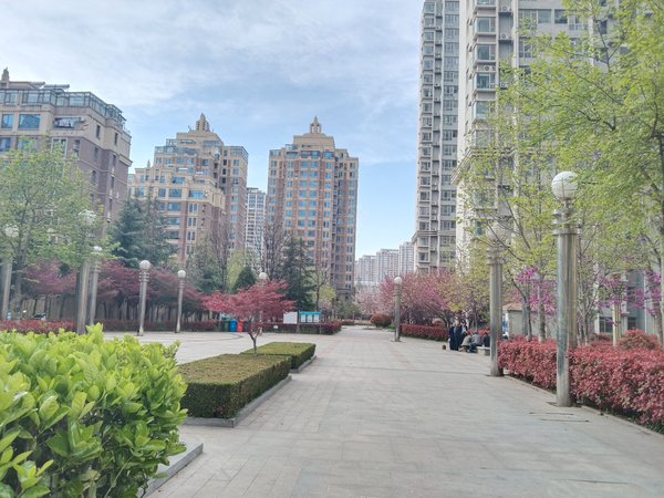 青岛崂山高科园东盛花园金地悦峰 东盛花园精装套二急租 全套家具家电