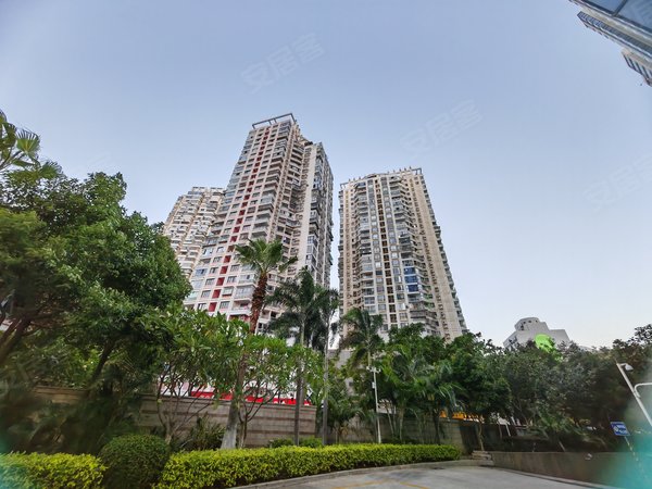 厦门湖里东渡振华大厦东渡地铁口 邮轮城二期旁 精装 振华大厦 价格