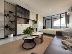 泉州洛江万安街道城东第一医院 居然之家 精装单身公寓 全屋定制 瓷砖到顶出租房源真实图片