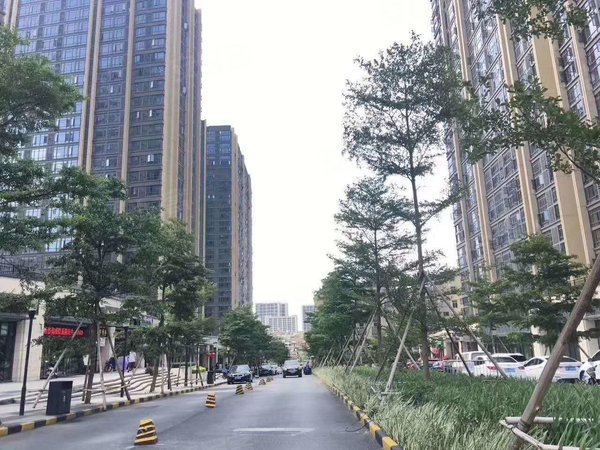 广州番禺大石敏捷华美国际新上电梯高层 华美国际复式三房一厅出租